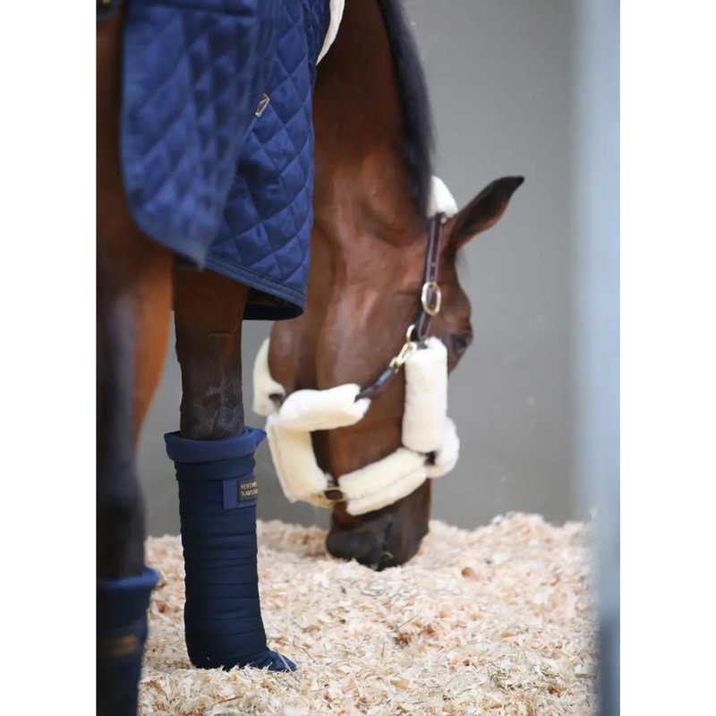 Kentucky Quilted Stable Bandage Pad Navy-2